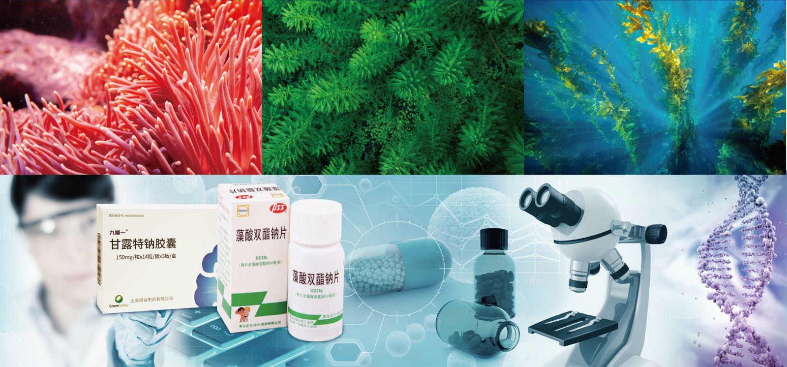 華大海洋 以企業(yè)擔當引領海洋生物醫(yī)藥研發(fā)與生物制品創(chuàng)新