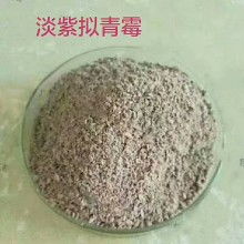 微生物肥料價(jià)格走勢(shì)與市場(chǎng)動(dòng)態(tài) 聚焦農(nóng)化網(wǎng)第三頁(yè)批發(fā)報(bào)價(jià)及甲殼素農(nóng)業(yè)肥料研發(fā)銷售新趨勢(shì)